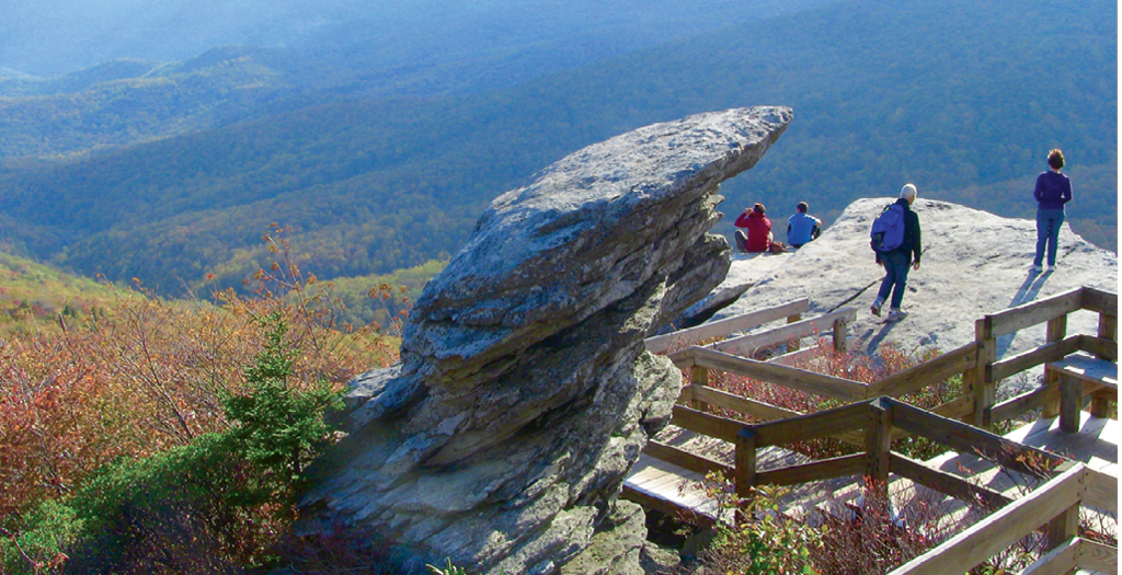 Top Area Hikes:  1. The Grandfather Trail