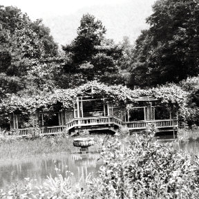 A pergola-covered deck overlooked a pond on the grounds.