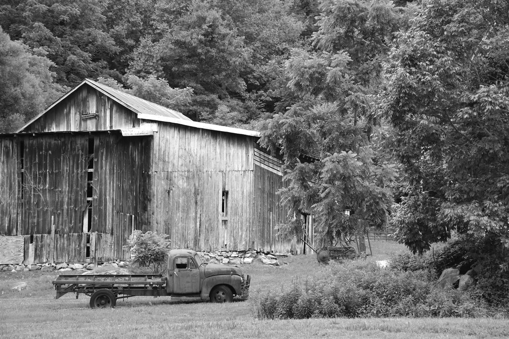 HONORABLE MENTION - FRONT YARD - Hunter Goosmann - Taken in Madison County. Amateur category