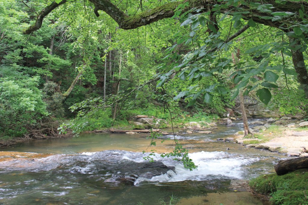 Nearby Cub Creek and the Reddies River are classified as official Mountain Heritage Trout Waters by the state.