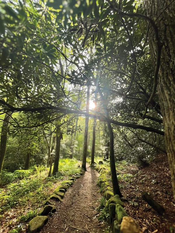 Natural trails also take visitors on short trips through the gardens.