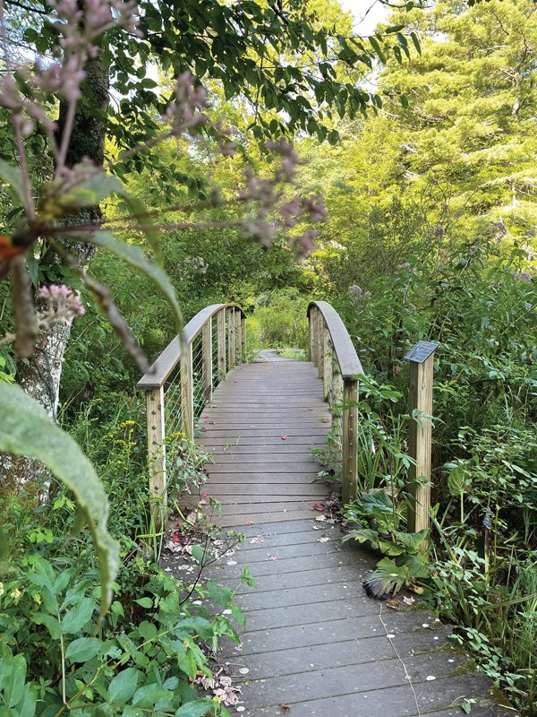 The trails carve through the gardens, providing up-close views of nature.