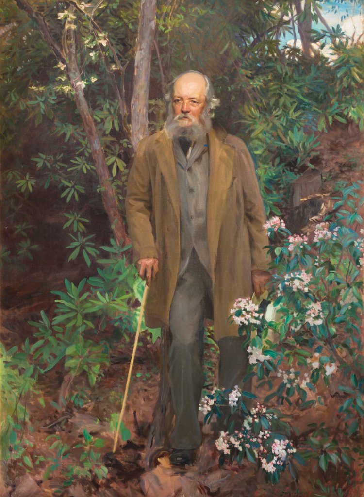 In 1895, painter John Singer Sargent produced this noble portrait of Olmsted at Biltmore. It hangs in the Biltmore House, where it is viewed by thousands of visitors daily.
