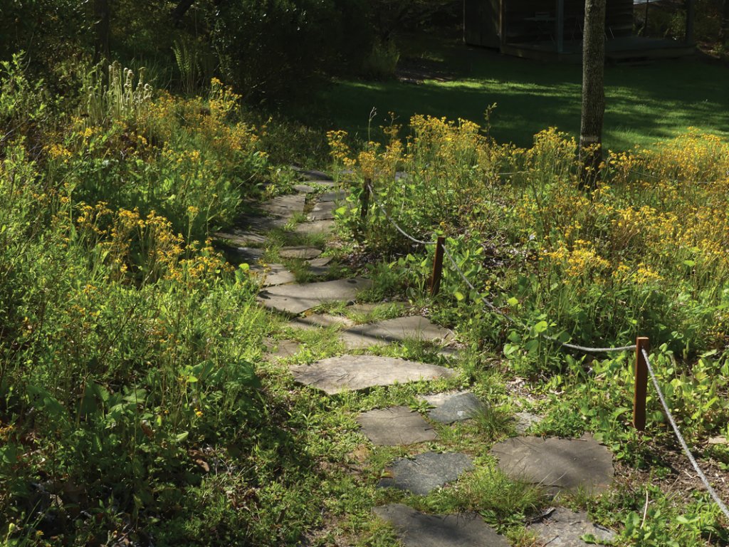 The path to Pickin’ Porch.