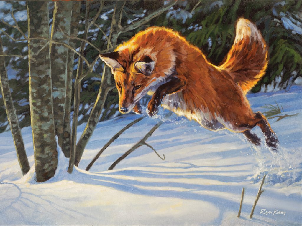 His attention to detail is evident in his work, including fox portrait Bound and Determined.