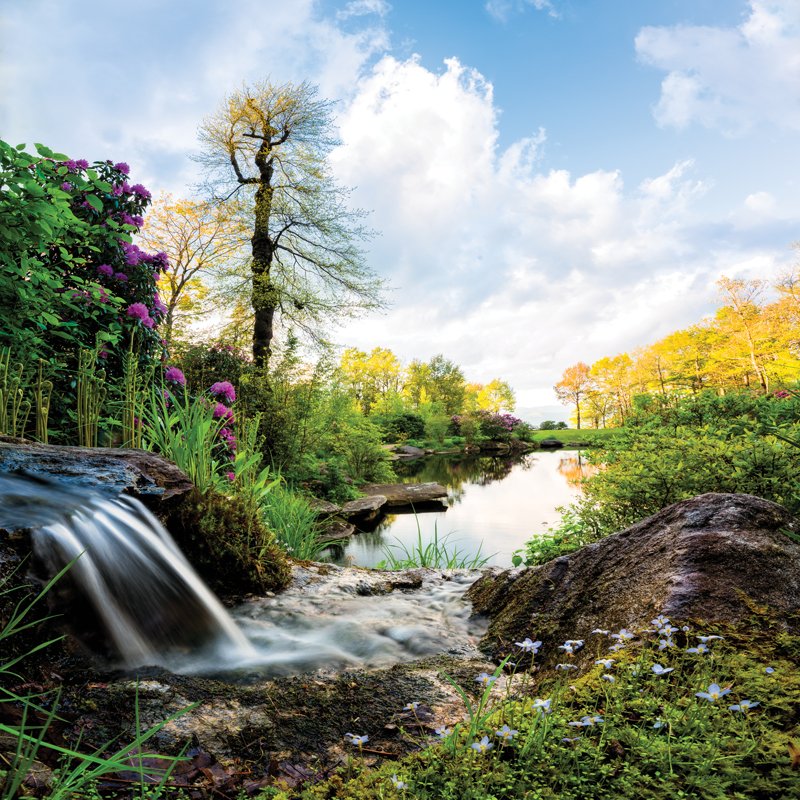 The Vaseyi Pond is named after the rare pink azaleas that surround it in the springtime.