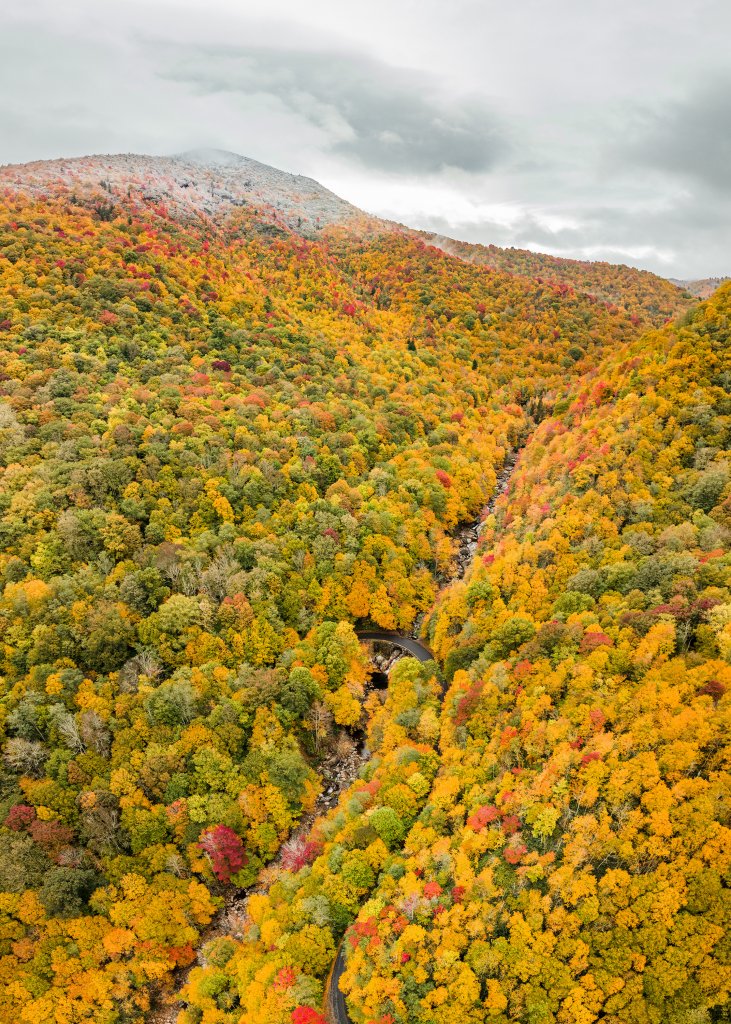 Seasons Collide at Sunburst - Mitchell Bearden This past October, an unseasonably-cold weather system brought snow and ice to the high points of the balsams amid peak fall colors.  {Amateur} @mitchell.andrew.photo
