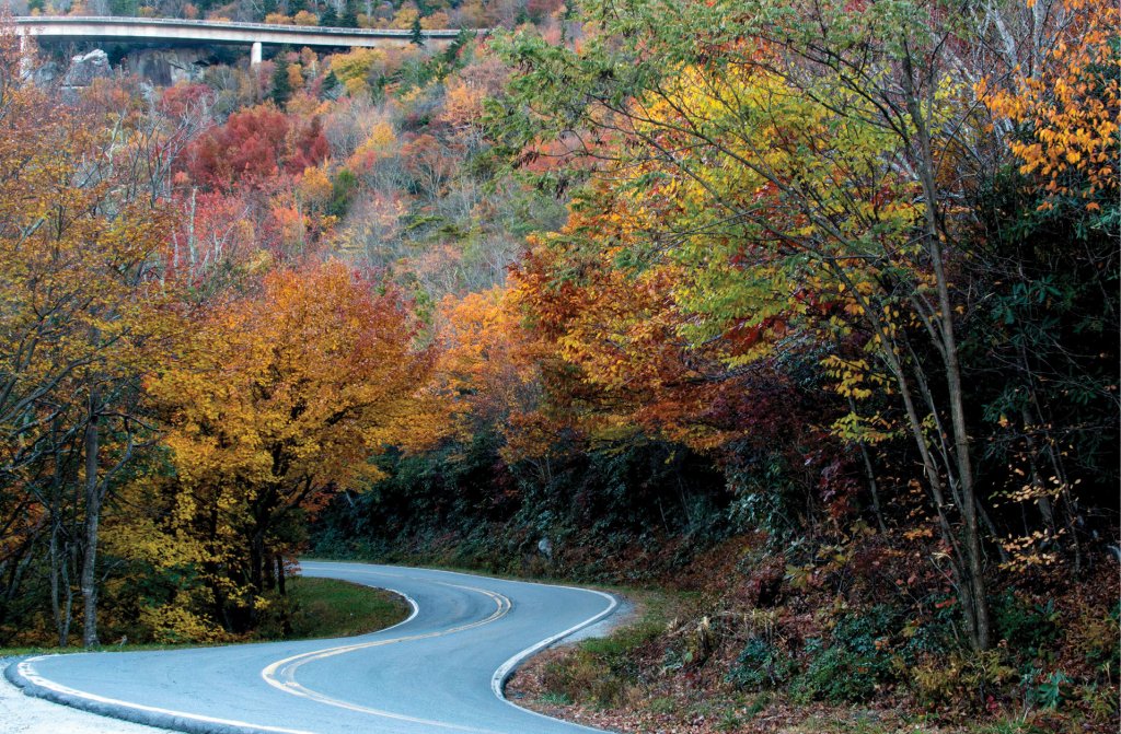 Scenic Fall Drives : Discover Valle Crucis, The Yadkin Valley, A Blue ...