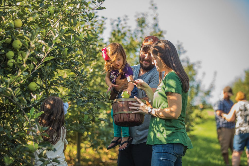 Sky Top Orchard in Flat Rock