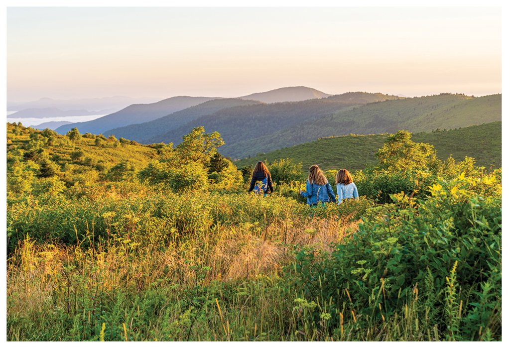 Black Balsam Knob overlook is one of many stunning destinations in WNC&#039;s mountain ranges.