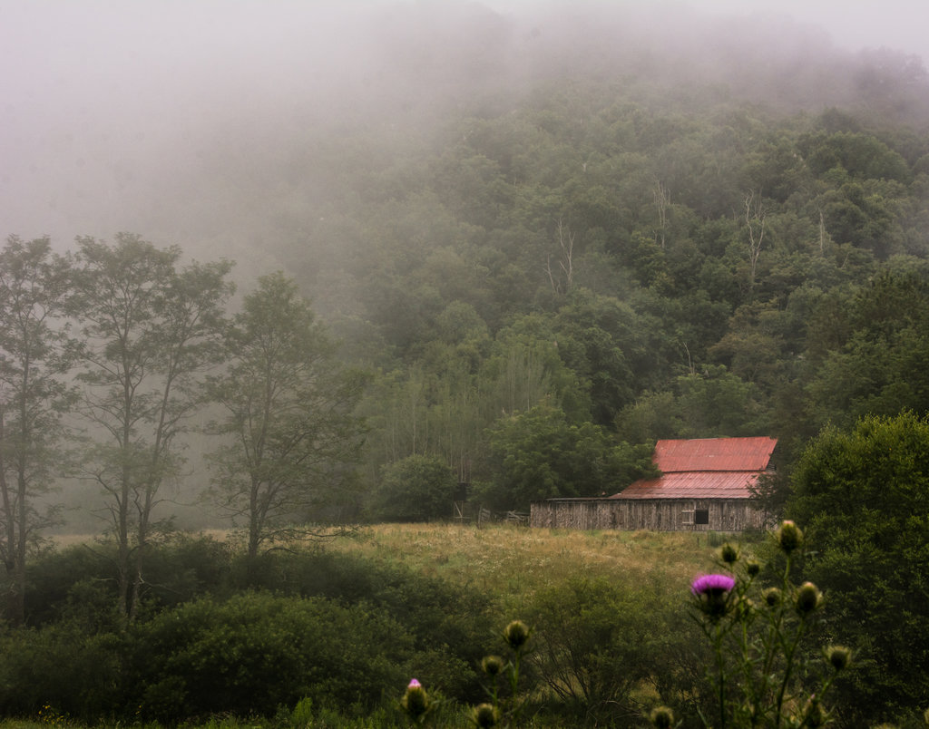HONORABLE MENTION - FOGGY MORNING - Susan Murphy - An old barn taken in Matney, NC, at the top of Valle Mountain near Valle Crucis. Amateur category