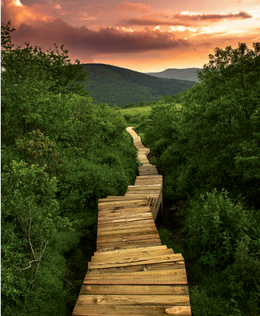 Joseph Young, A sunset hike to Sam’s Knob near Shining Rock  Wilderness 1st Place Winner in the Amateur Category