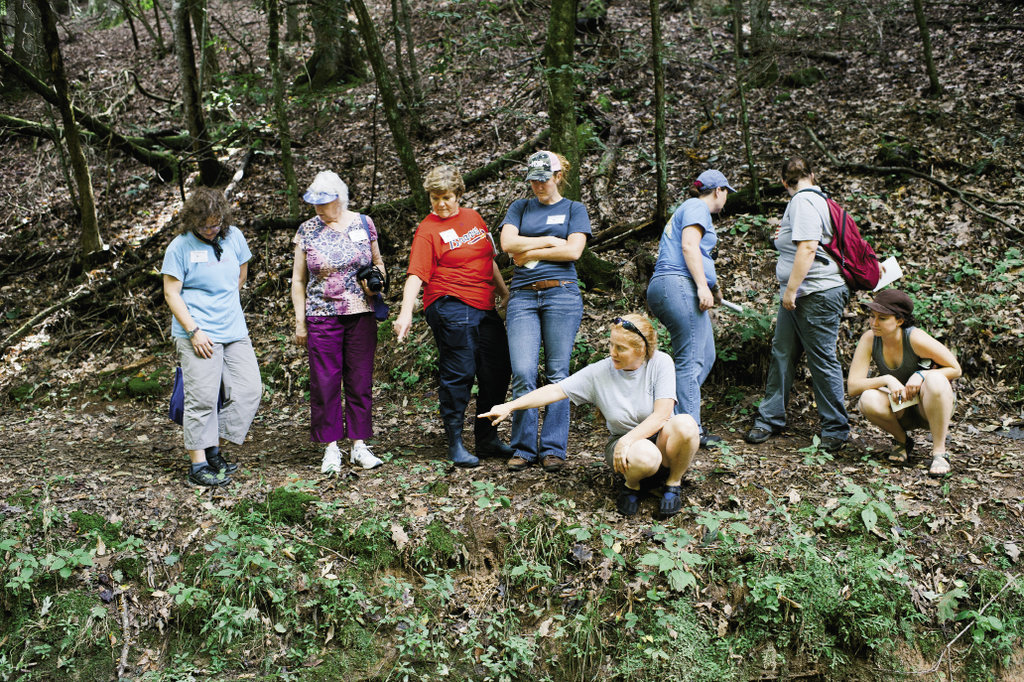 Natural instincts During a nature walk, C.C. King (top center) points out plants and shares tips for identifying species, including the  characteristics of a poplar tree (above right). Equipment, including compound and recurve bows, is provided for participants.