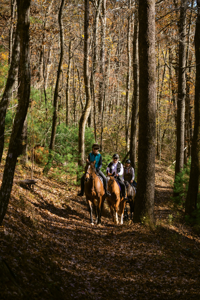 Members of the Foothills Equestrian Trails Association (FETA) can access around 150 miles of trails throughout Polk County, most of which are on private land.