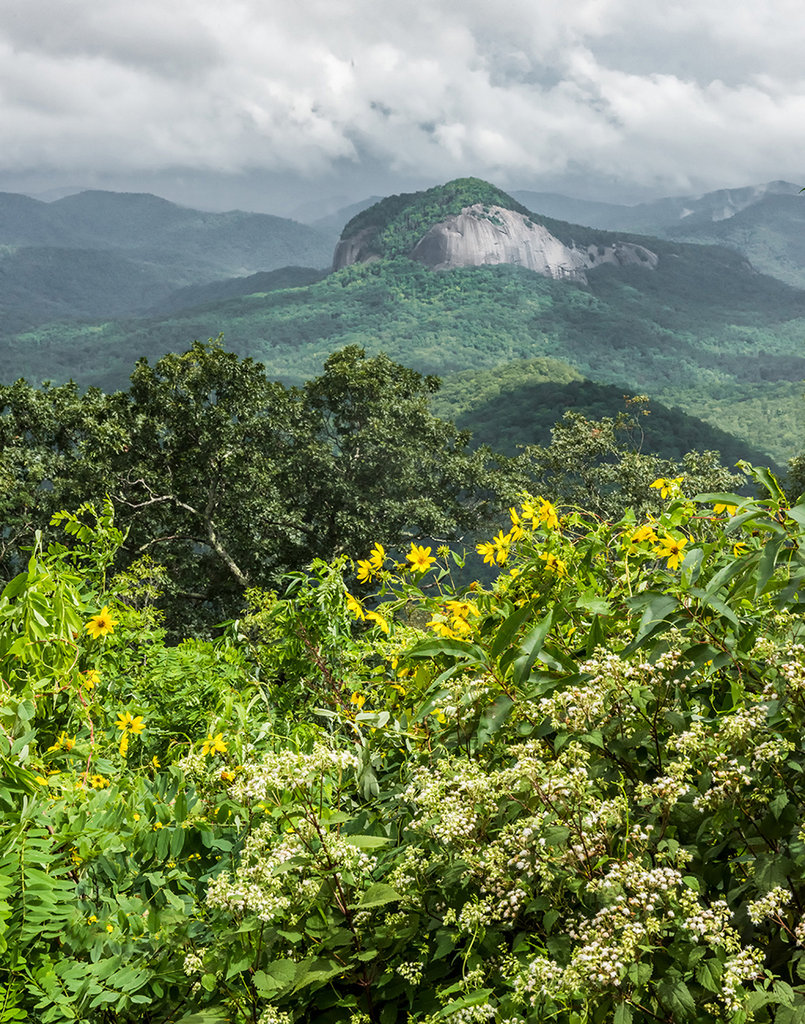 Honorable Mention: Looking Glass Rock with Sunflowers and Snakeroot by Jim Britt (Amateur category)