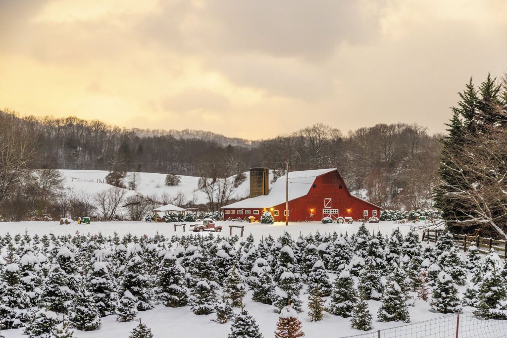 Courtesy of VisitNC.com