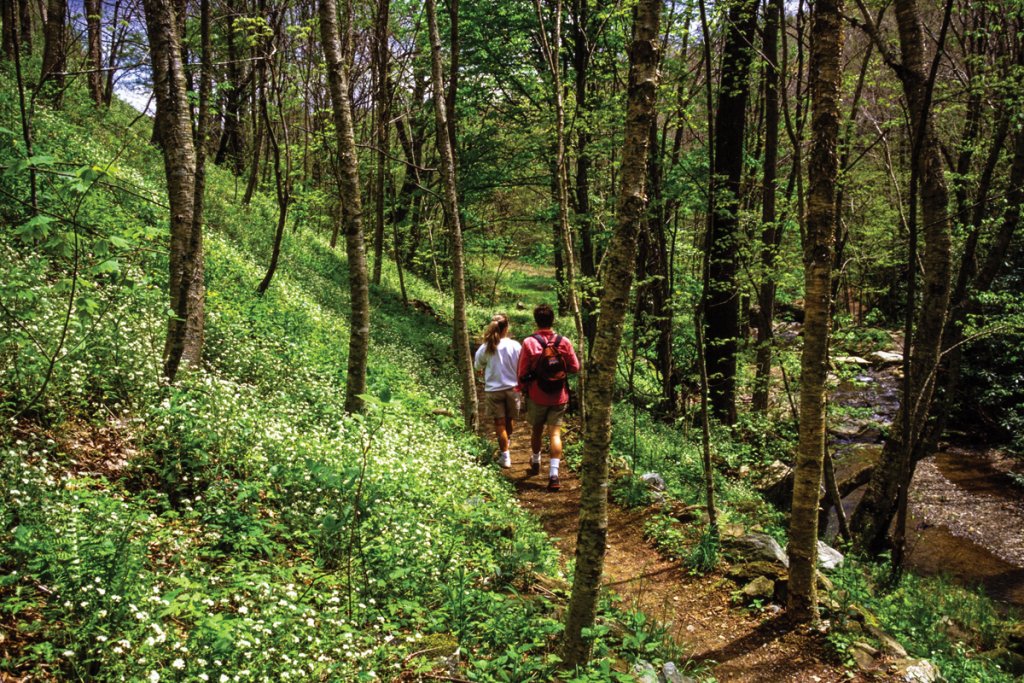 Mid-1980s Profile hikers amid Fringed Phacelia.