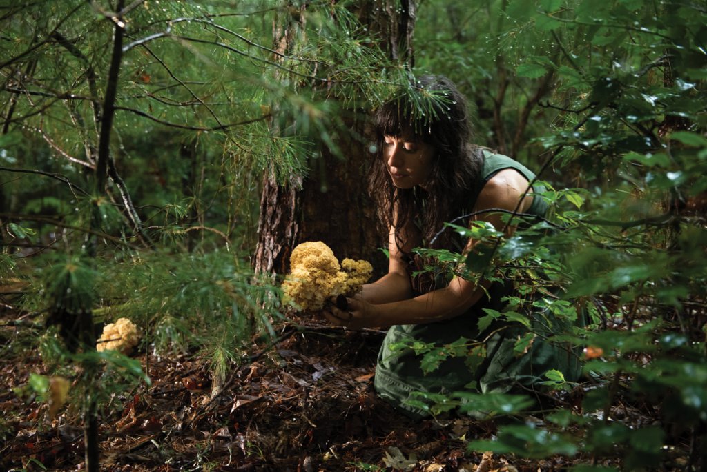 Natalie Dechiara of Wild Goods Foraged Food finds a cauliflower mushroom in the Appalachian woods.