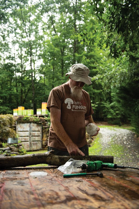 Once the mushrooms are in place, cover the hole with wax to seal them into the log.Wait several months to allow for growth.