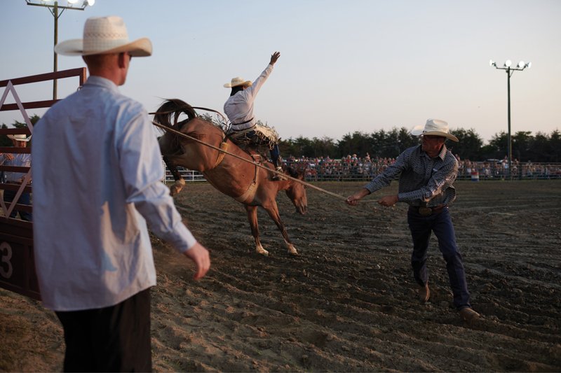 A bucking horse rider tries his luck out of the chute.