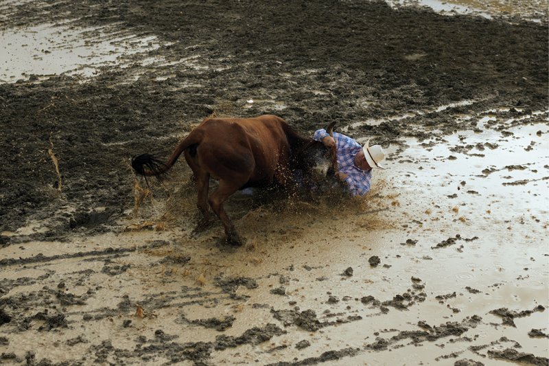Sometimes, rodeo isn’t exactly what you’d call good, clean fun. Here, a chute dogger struggles to wrestle a bull to the muddy ground.