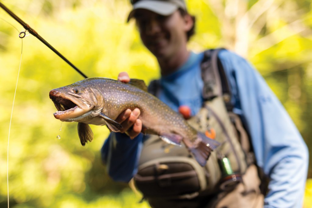 North Carolina is one of the most popular destinations for trout fishing because of the fresh mountain streams.