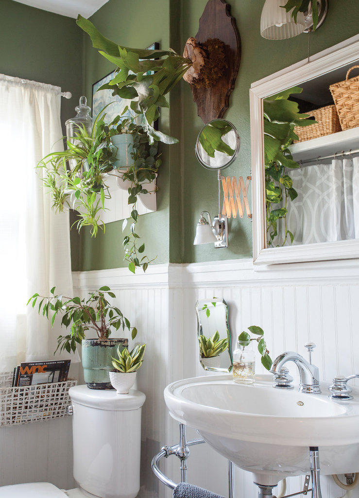 Philodendrons, ferns, and spider and snake plants all thrive in the humid, low-light conditions many bathrooms allow.
