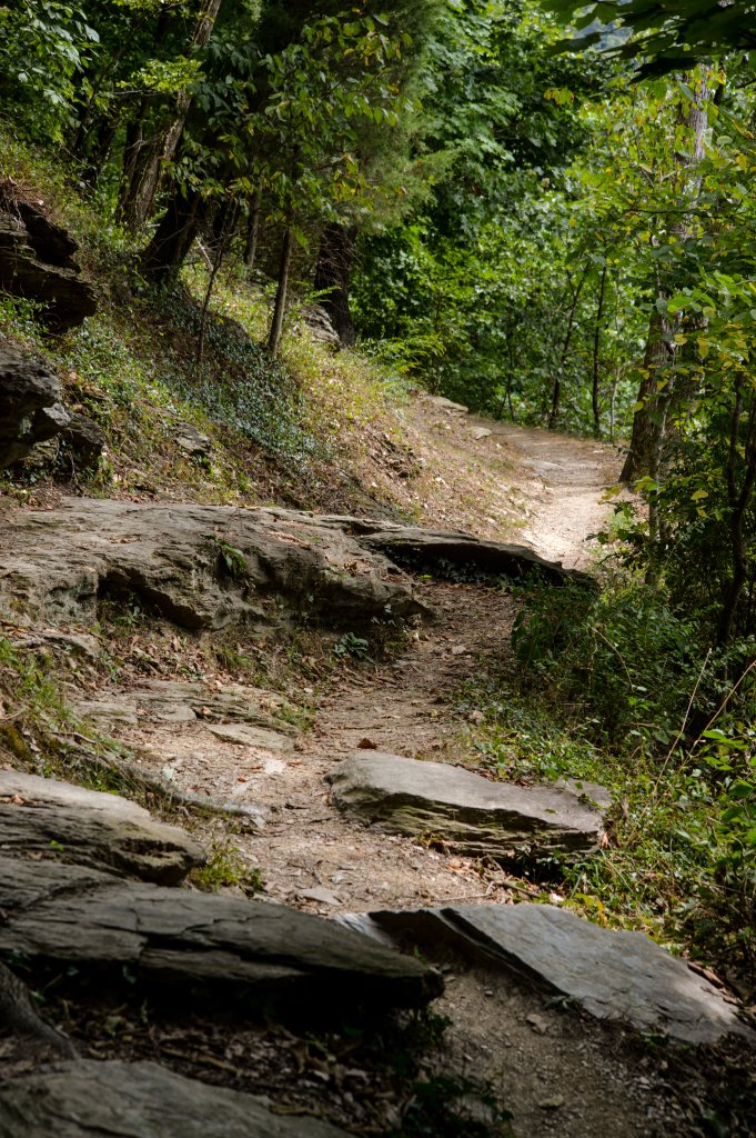 The Appalachian Trail - courtesy National Park Service
