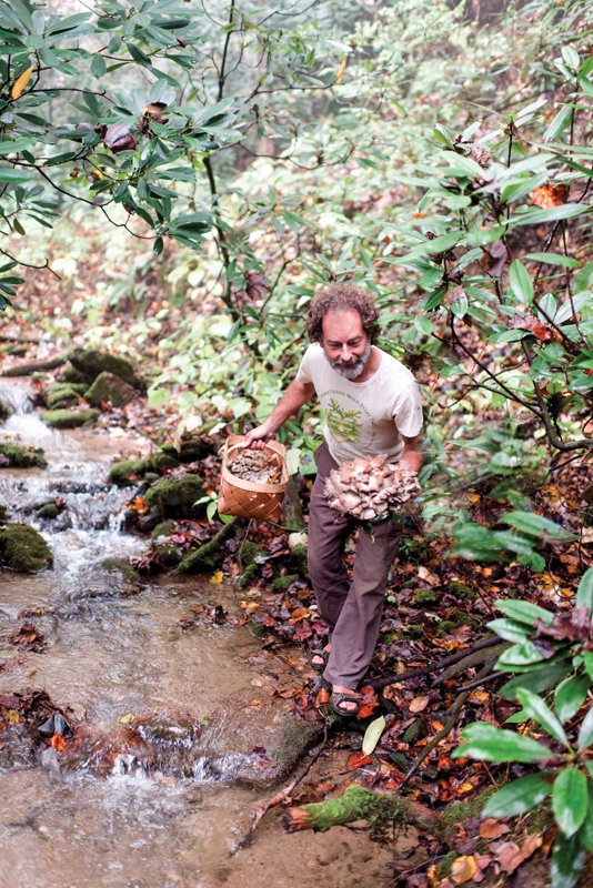 Author and mycophile Alan Muskat (above) likes to say that he’s been “taking people out to eat” for more than 25 years. His Asheville company, No Taste Like Home, is the largest foraging education company in the world.