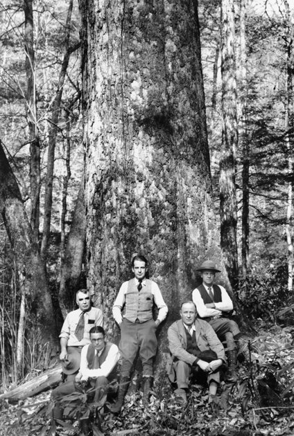 People like these 1930s gentlemen still pose with ancient trees.