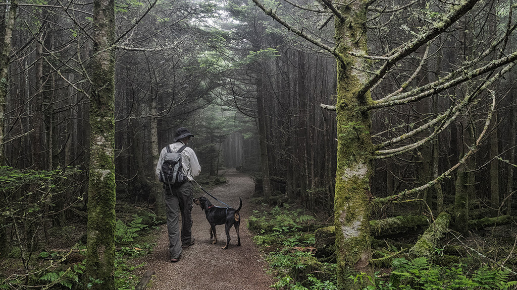 Honorable Mention: A Man and His Hound by Jeff Clark (Amateur category)
