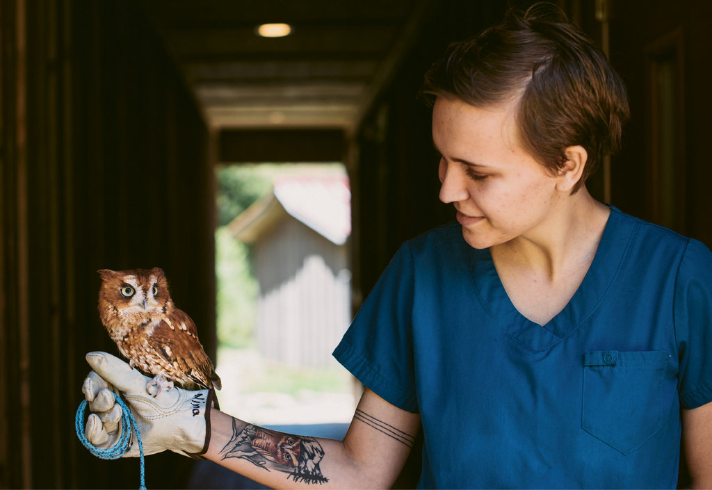 As part of Lees-McRae’s Wildlife Biology program, graduating senior Erin Christian gets close encounters with native wildlife.
