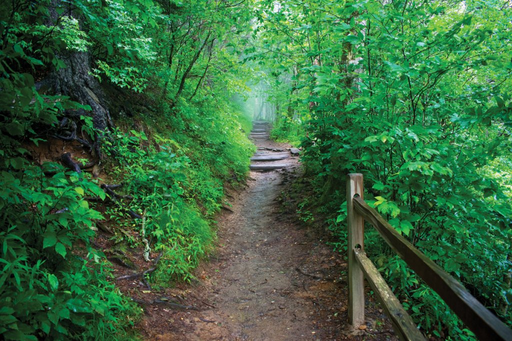 Great Smoky Mountains National Park