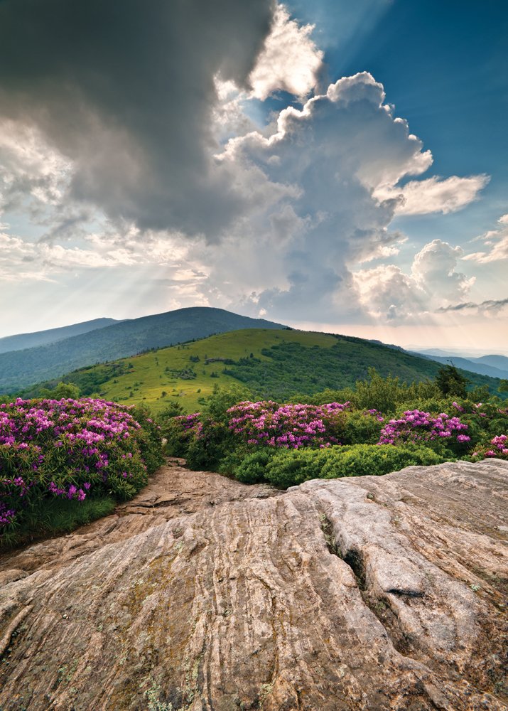 When Clyde Smith discovered Western North Carolina, he found himself drawn to the meadow covered grandeur of the Roan Highlands shown here, and the rugged beauty of Grandfather Mountain, both reminiscent of alpine White Mountain peaks in his native New Hampshire.