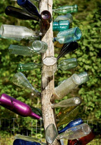 Bo and Courtney’s bottle tree, marking parties past.