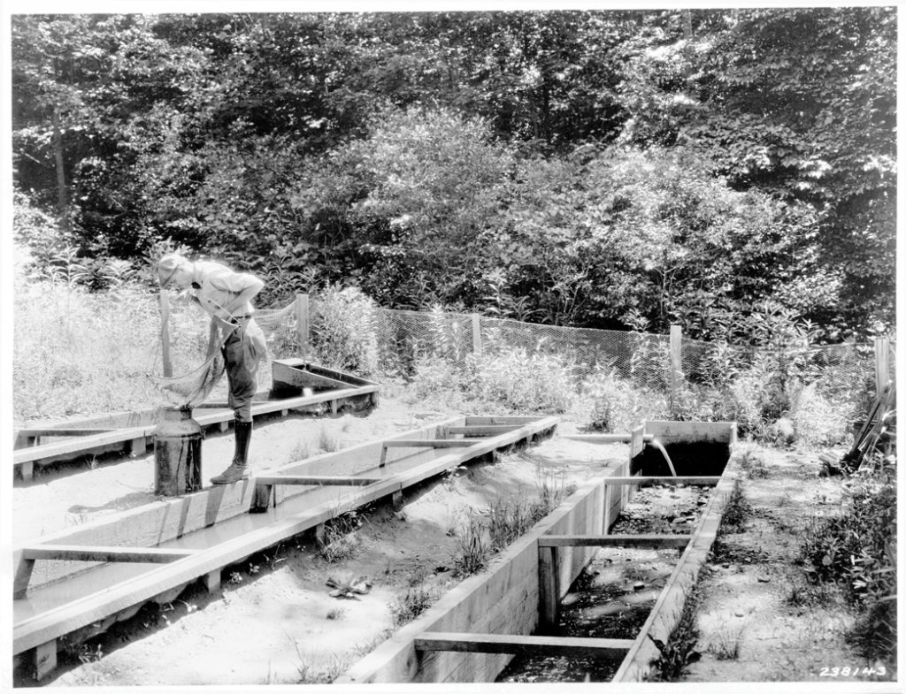 A 1936 trout farming pond in North Mills River.