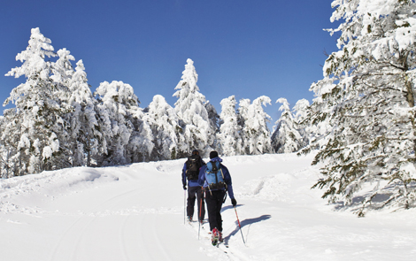 mount mitchell winter