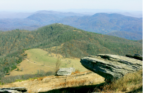 Florence Nature Preserve : | WNC Magazine