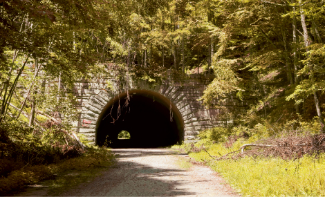 Lakeshore Trail  In Search of